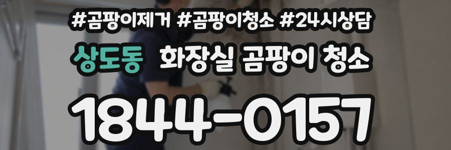 상도동 화장실 곰팡이 청소