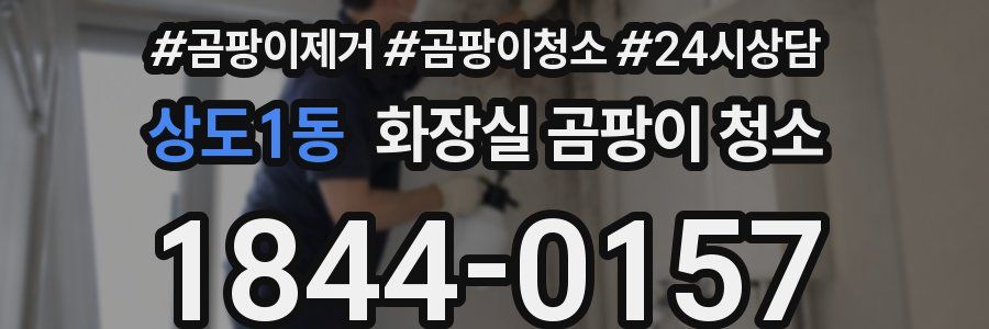 상도1동 화장실 곰팡이 청소