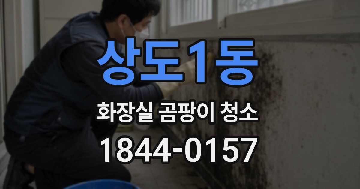상도1동 화장실 곰팡이 청소