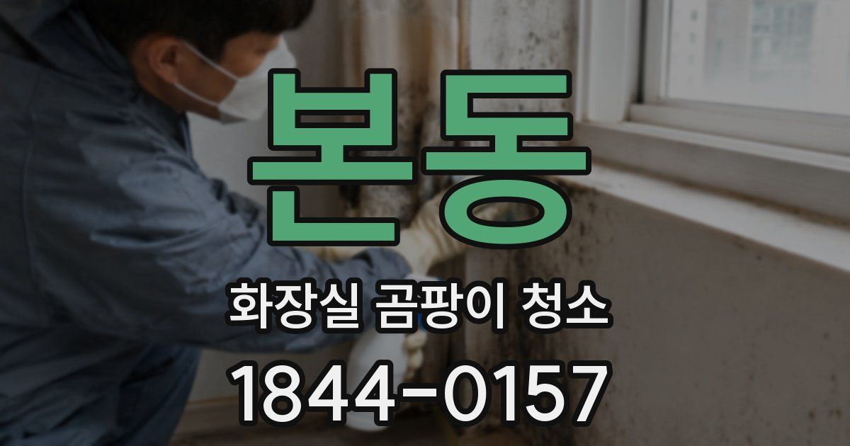 본동 화장실 곰팡이 청소