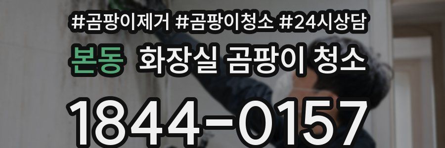 본동 화장실 곰팡이 청소