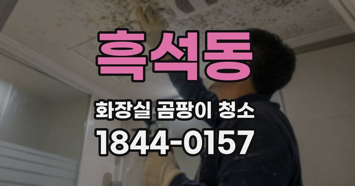 흑석동 화장실 곰팡이 청소