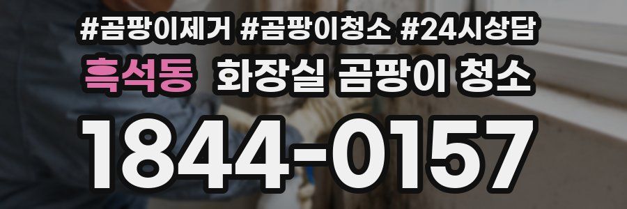 흑석동 화장실 곰팡이 청소