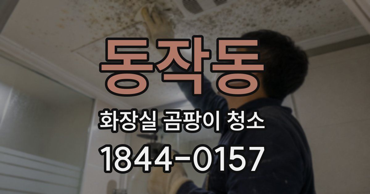 동작동 화장실 곰팡이 청소