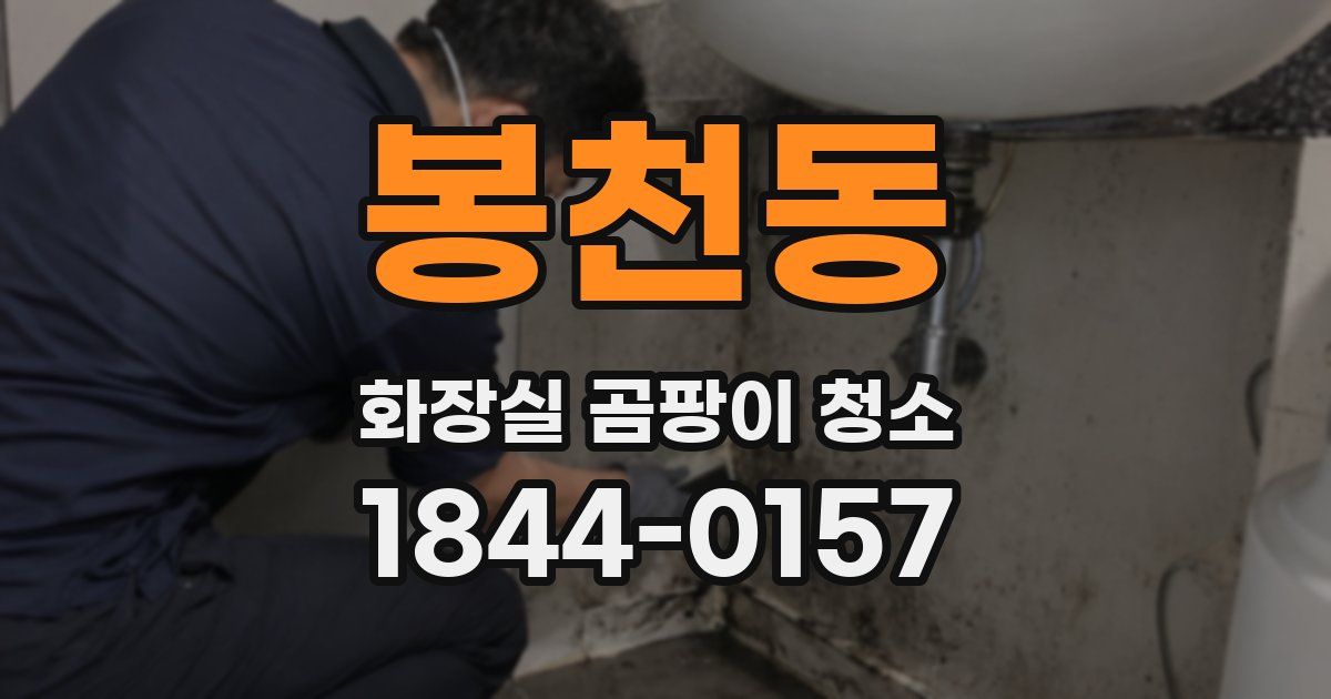 봉천동 화장실 곰팡이 청소