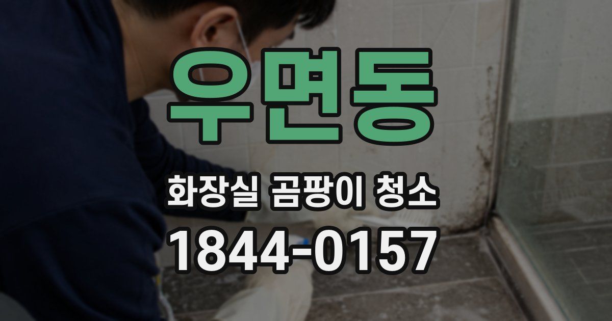 우면동 화장실 곰팡이 청소