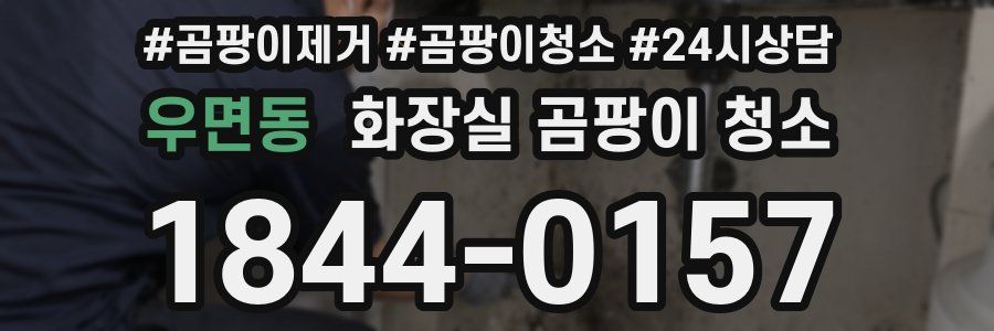 우면동 화장실 곰팡이 청소