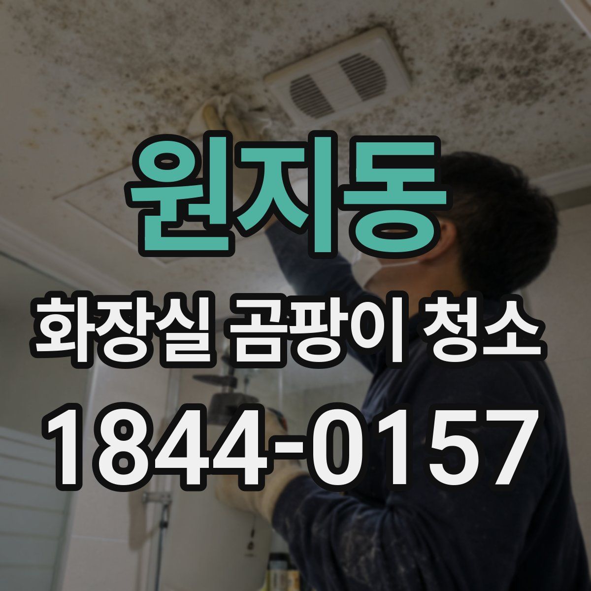 원지동 화장실 곰팡이 청소