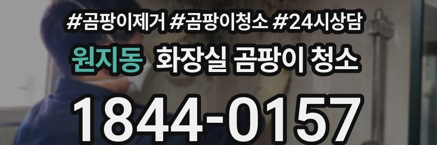 원지동 화장실 곰팡이 청소