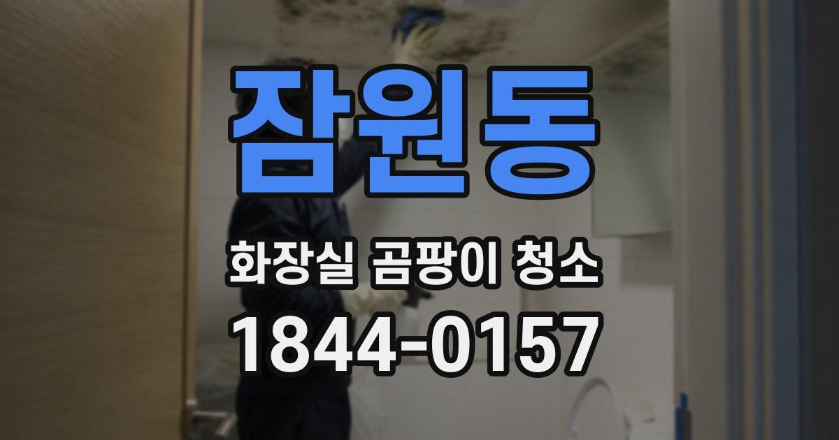 잠원동 화장실 곰팡이 청소