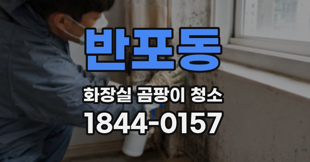 반포동 화장실 곰팡이 청소