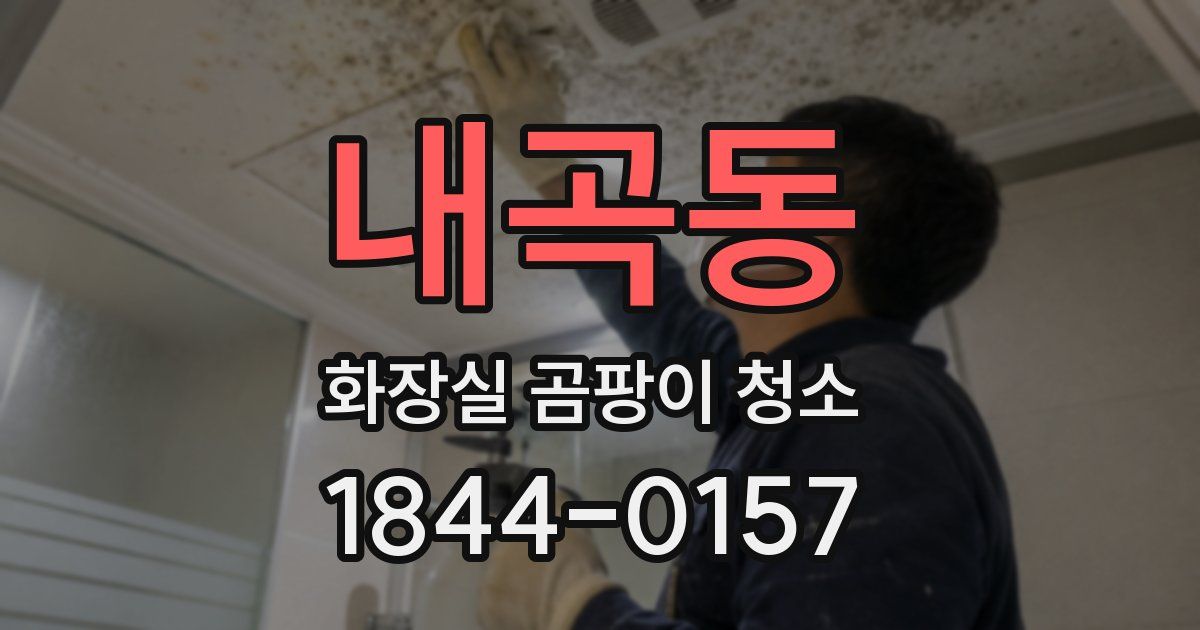 내곡동 화장실 곰팡이 청소