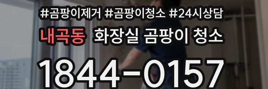내곡동 화장실 곰팡이 청소