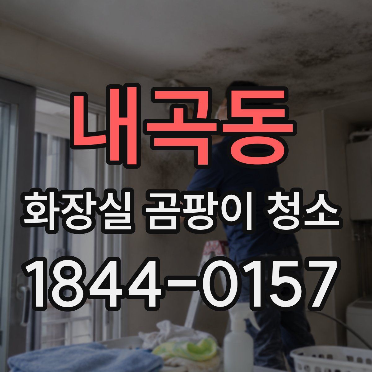 내곡동 화장실 곰팡이 청소