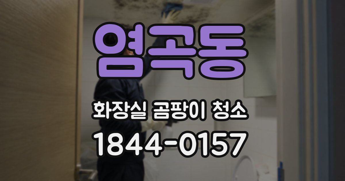 염곡동 화장실 곰팡이 청소