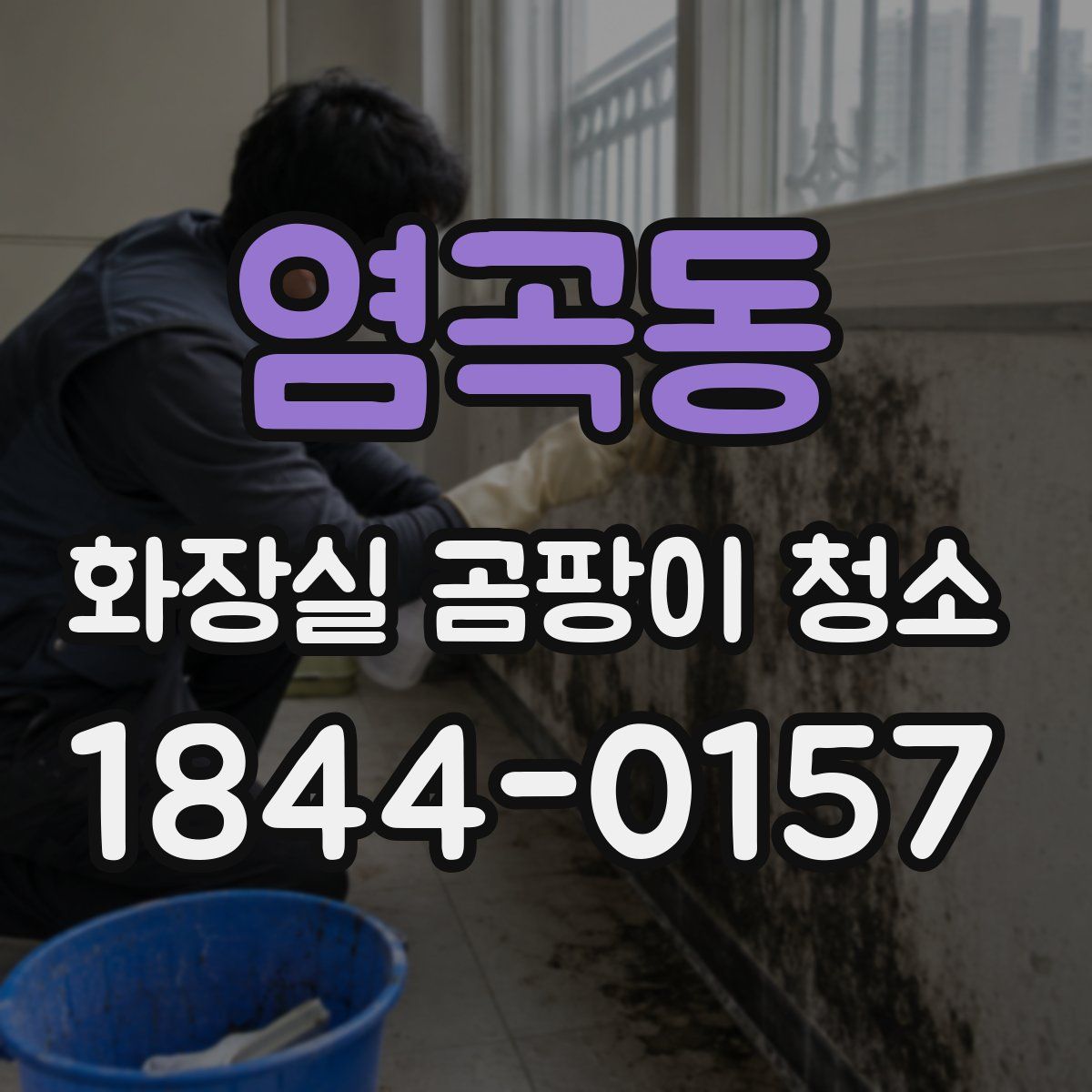 염곡동 화장실 곰팡이 청소