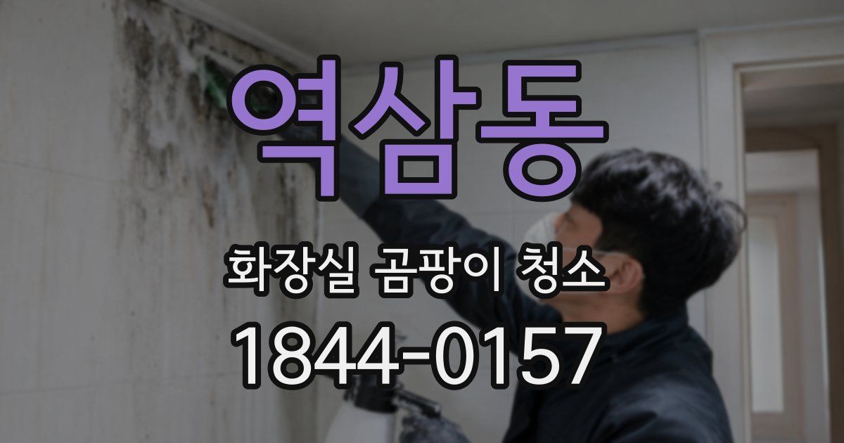 역삼동 화장실 곰팡이 청소