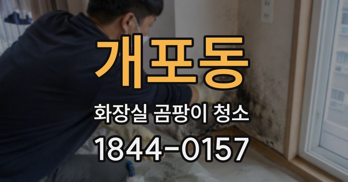 개포동 화장실 곰팡이 청소
