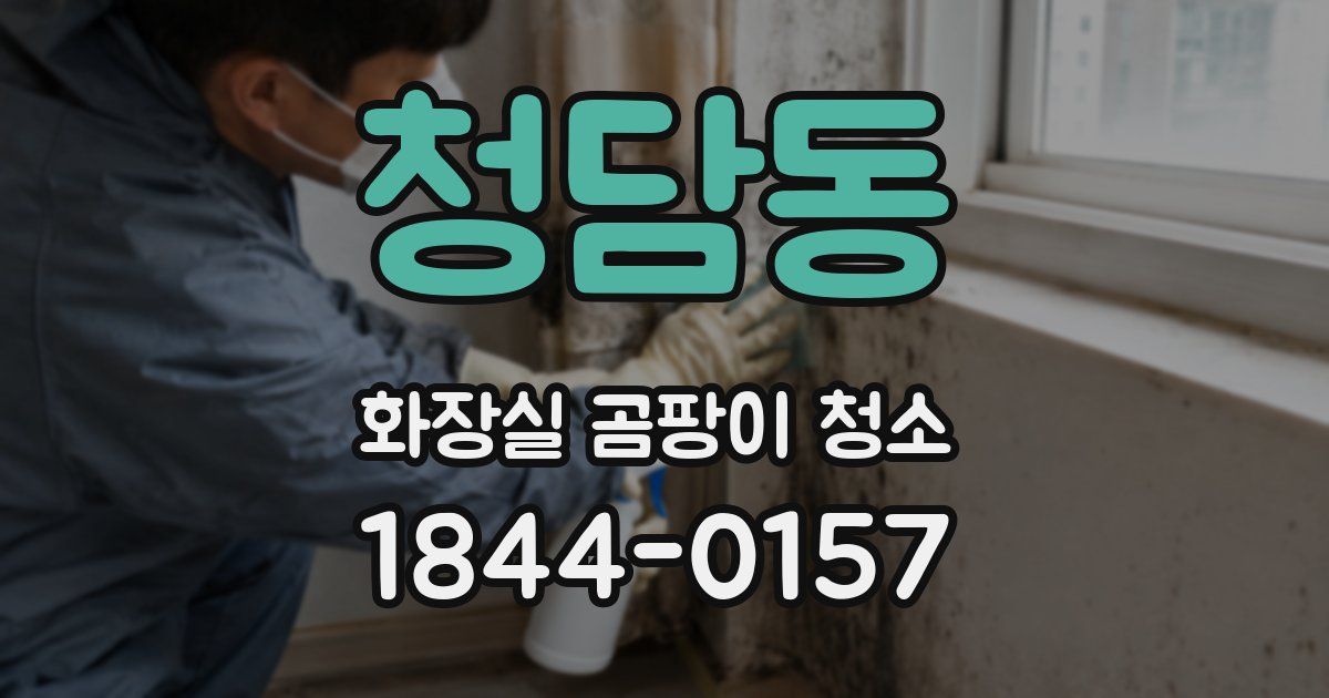 청담동 화장실 곰팡이 청소