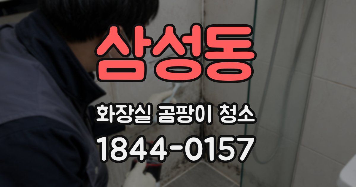 삼성동 화장실 곰팡이 청소