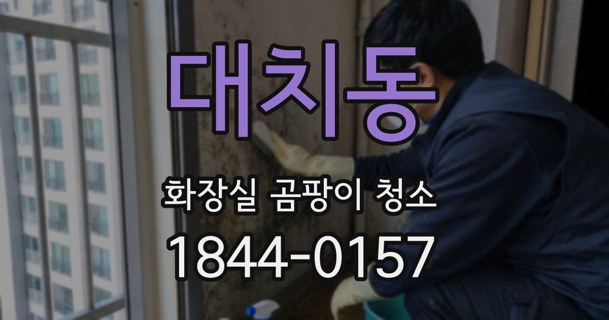 대치동 화장실 곰팡이 청소