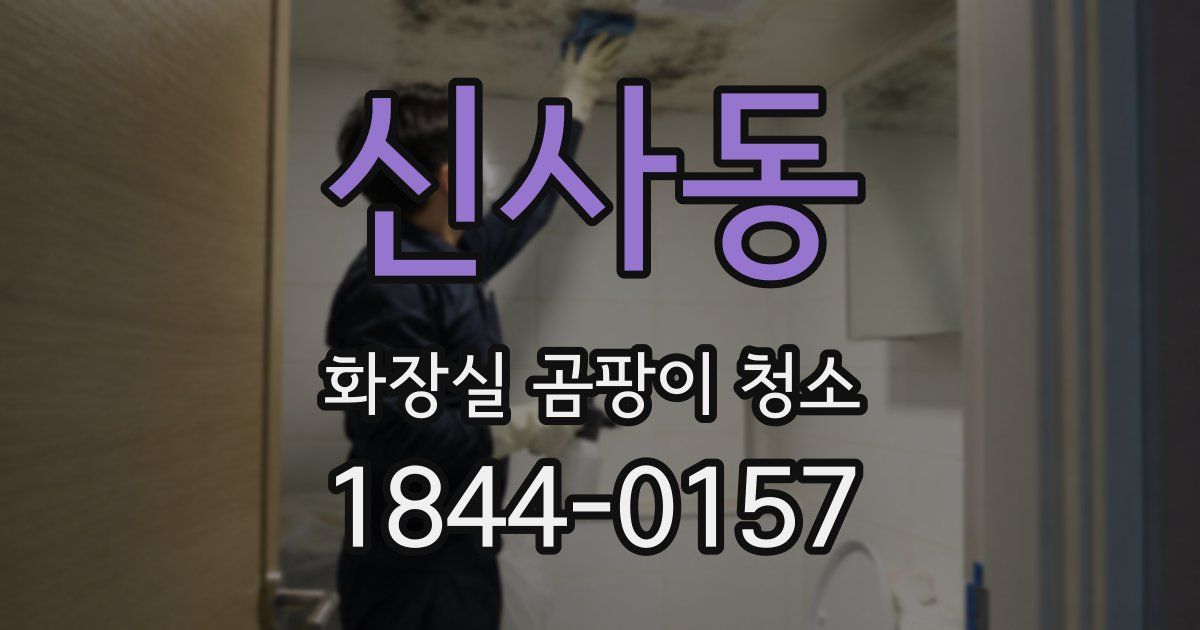 신사동 화장실 곰팡이 청소