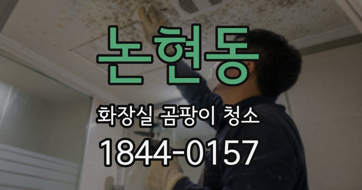 논현동 화장실 곰팡이 청소