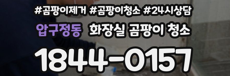 압구정동 화장실 곰팡이 청소