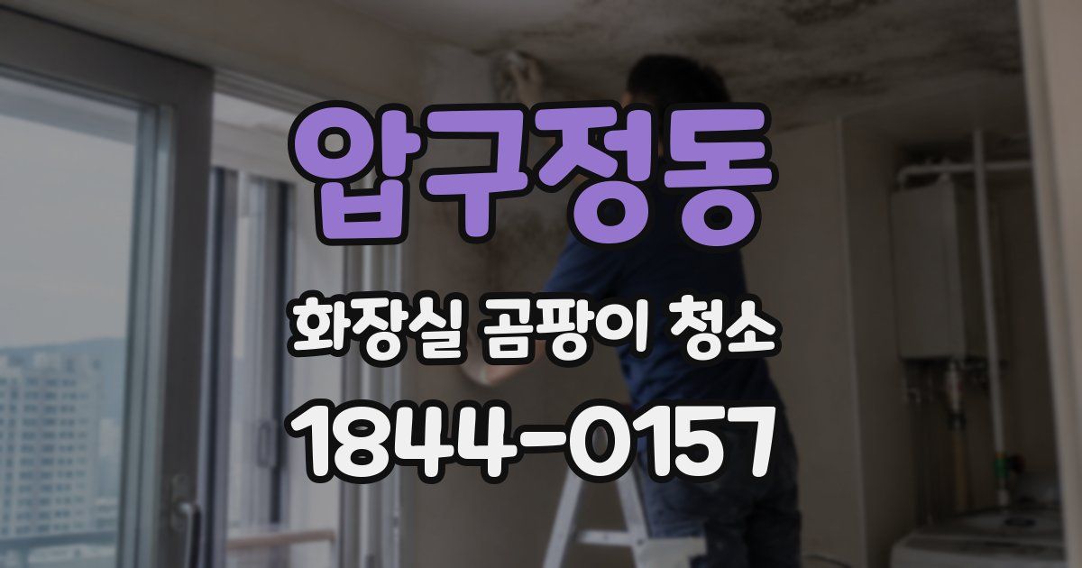 압구정동 화장실 곰팡이 청소