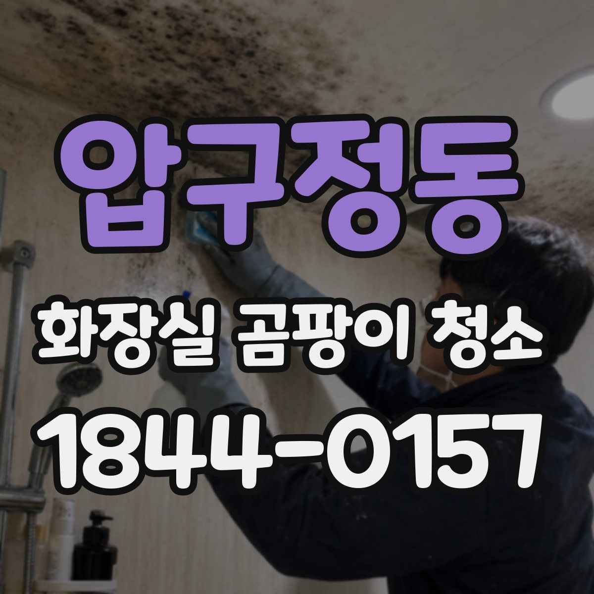 압구정동 화장실 곰팡이 청소
