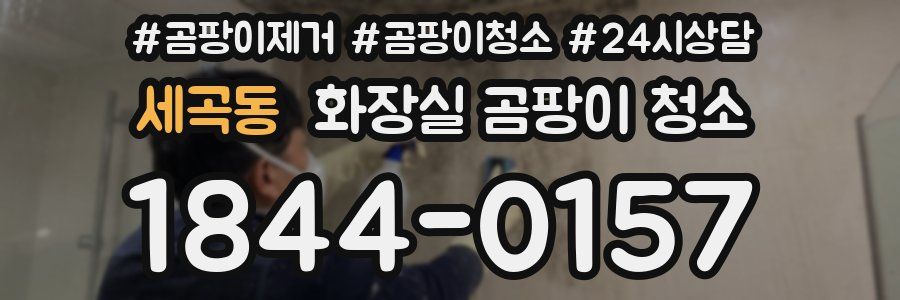 세곡동 화장실 곰팡이 청소