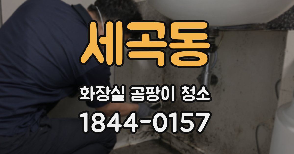 세곡동 화장실 곰팡이 청소