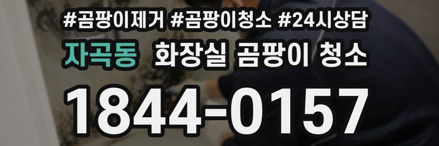 자곡동 화장실 곰팡이 청소