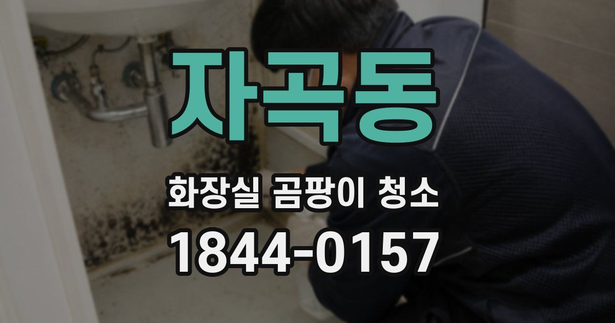 자곡동 화장실 곰팡이 청소