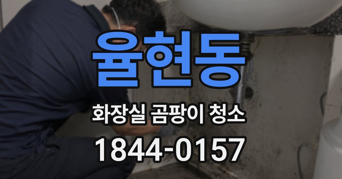 율현동 화장실 곰팡이 청소