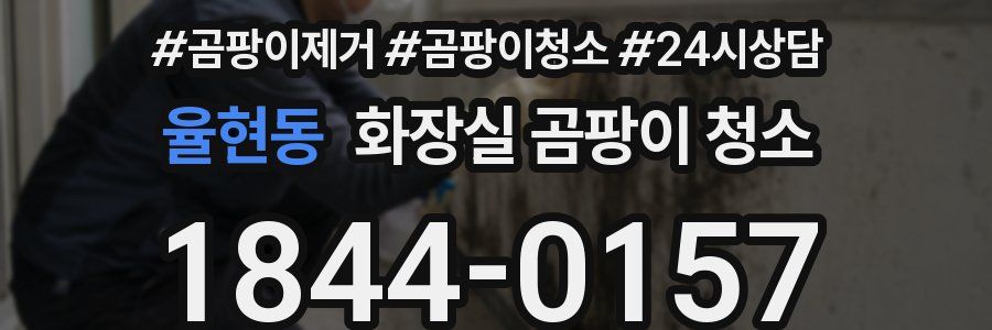 율현동 화장실 곰팡이 청소