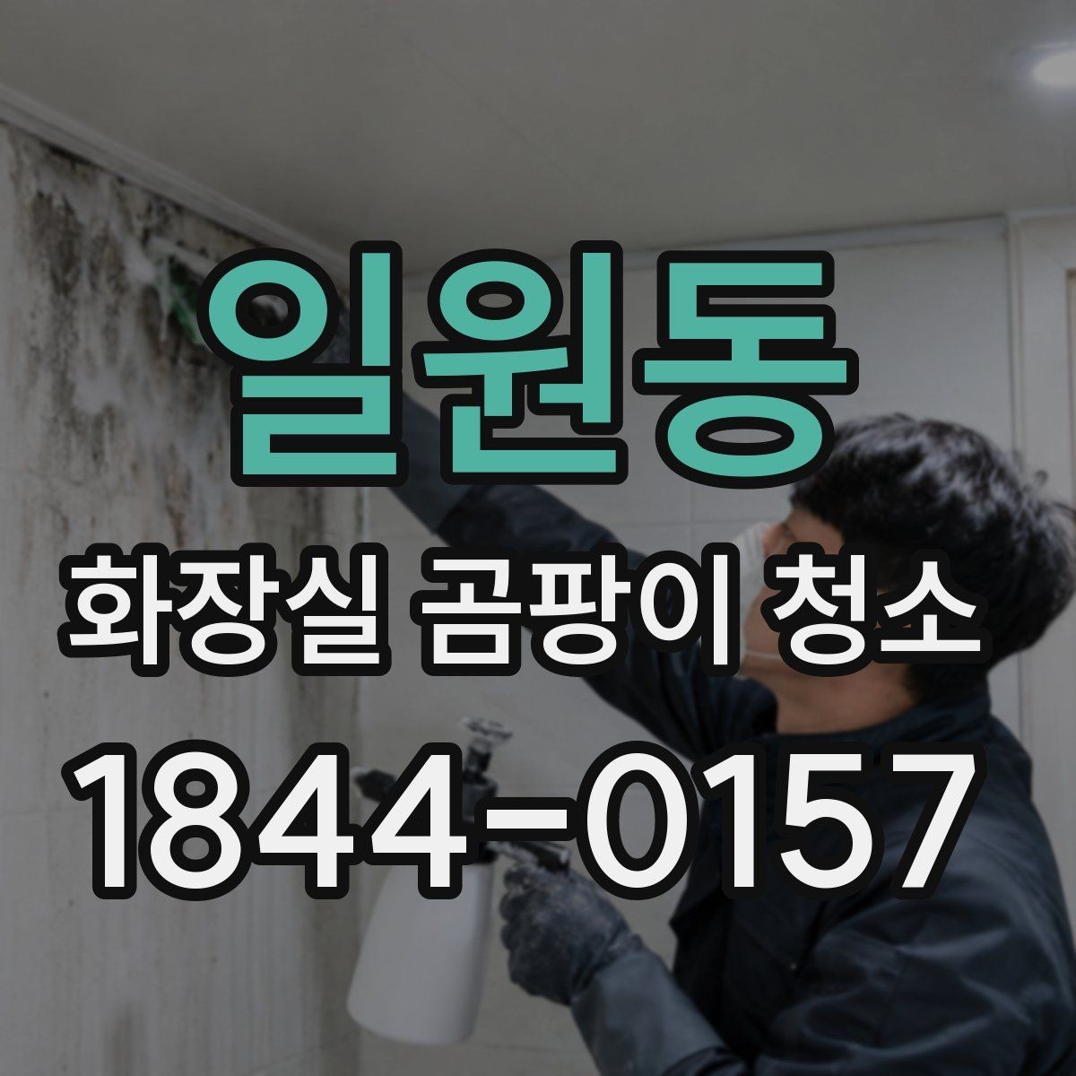 일원동 화장실 곰팡이 청소 전 습기 원인부터 점검해보는 법