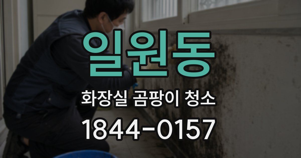 일원동 화장실 곰팡이 청소