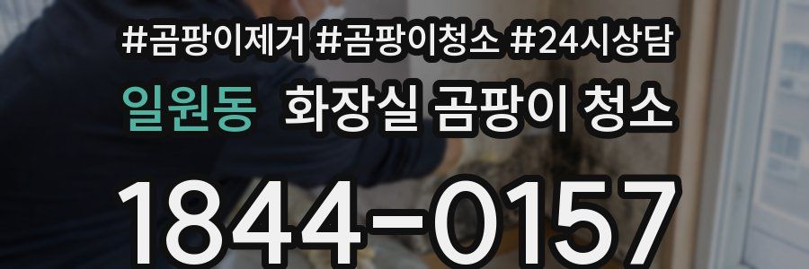 일원동 화장실 곰팡이 청소