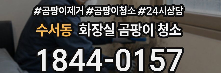 수서동 화장실 곰팡이 청소