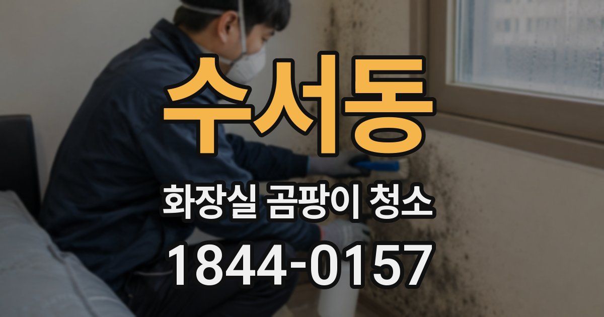 수서동 화장실 곰팡이 청소