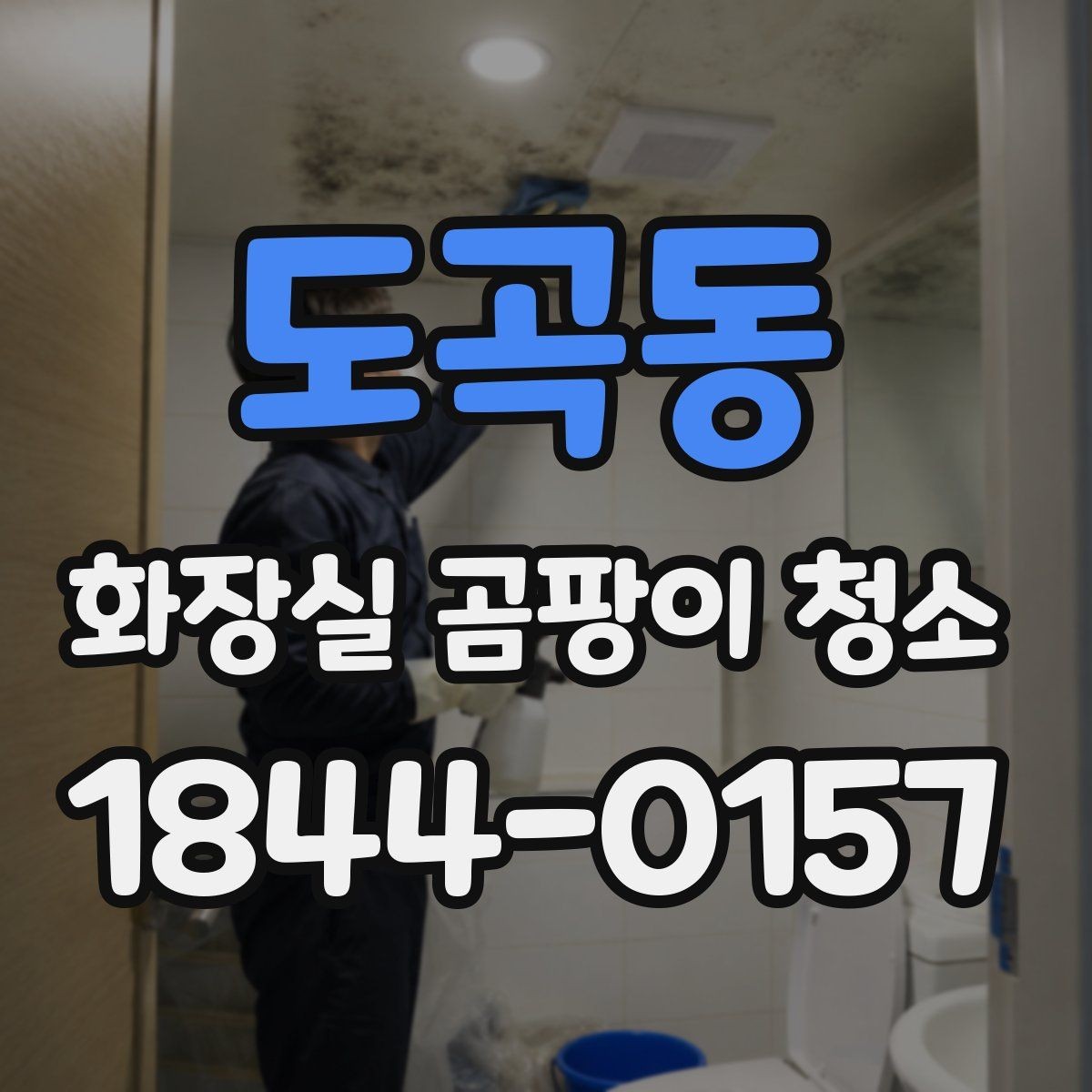 도곡동 화장실 곰팡이 청소 얼룩이 남는 위치별 원인 살피기