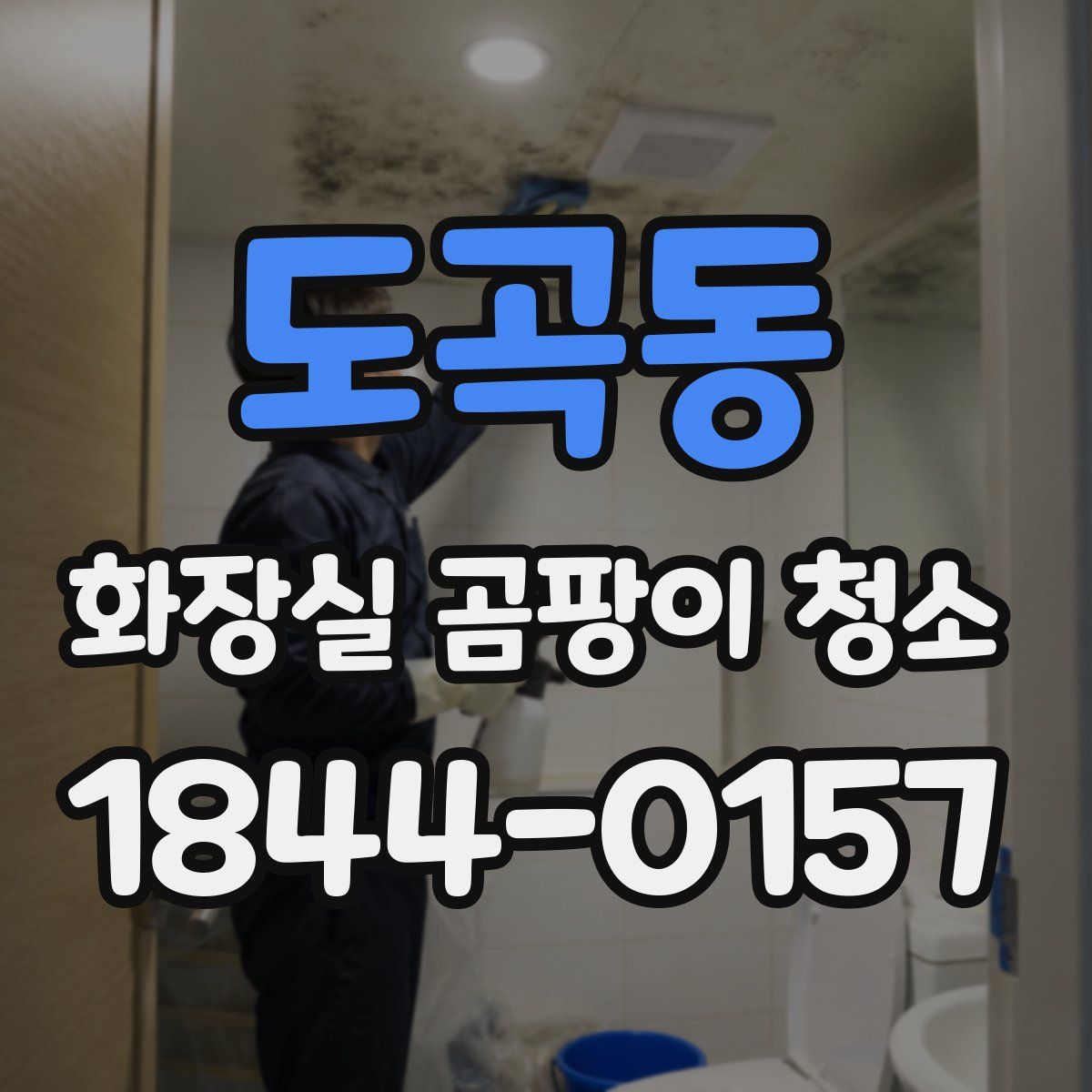 도곡동 화장실 곰팡이 청소