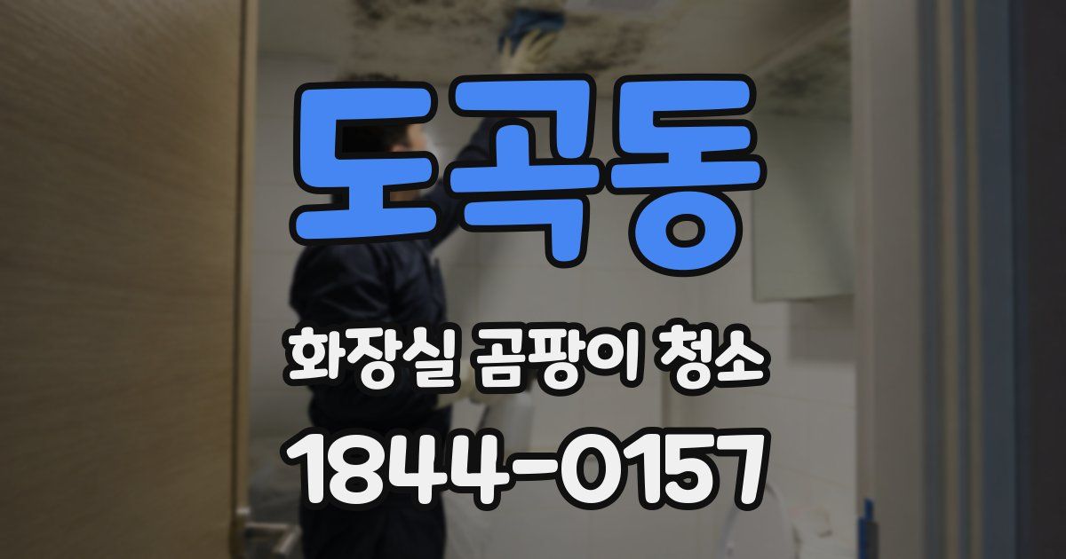 도곡동 화장실 곰팡이 청소
