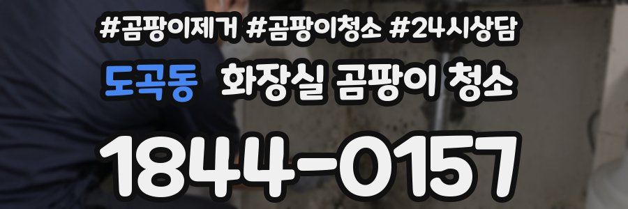 도곡동 화장실 곰팡이 청소