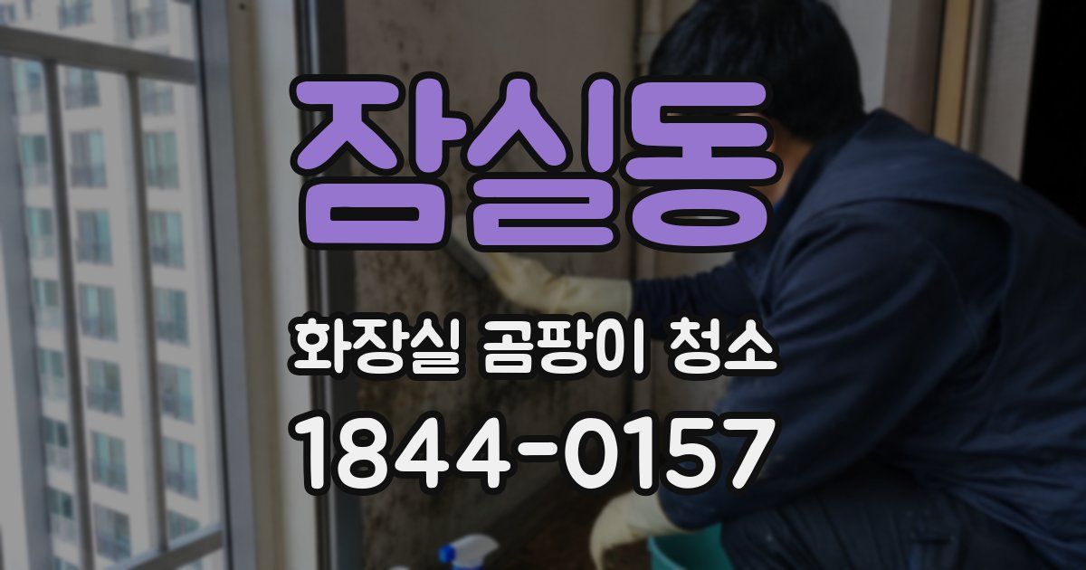 잠실동 화장실 곰팡이 청소