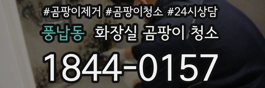 풍납동 화장실 곰팡이 청소