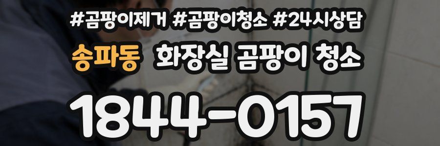 송파동 화장실 곰팡이 청소