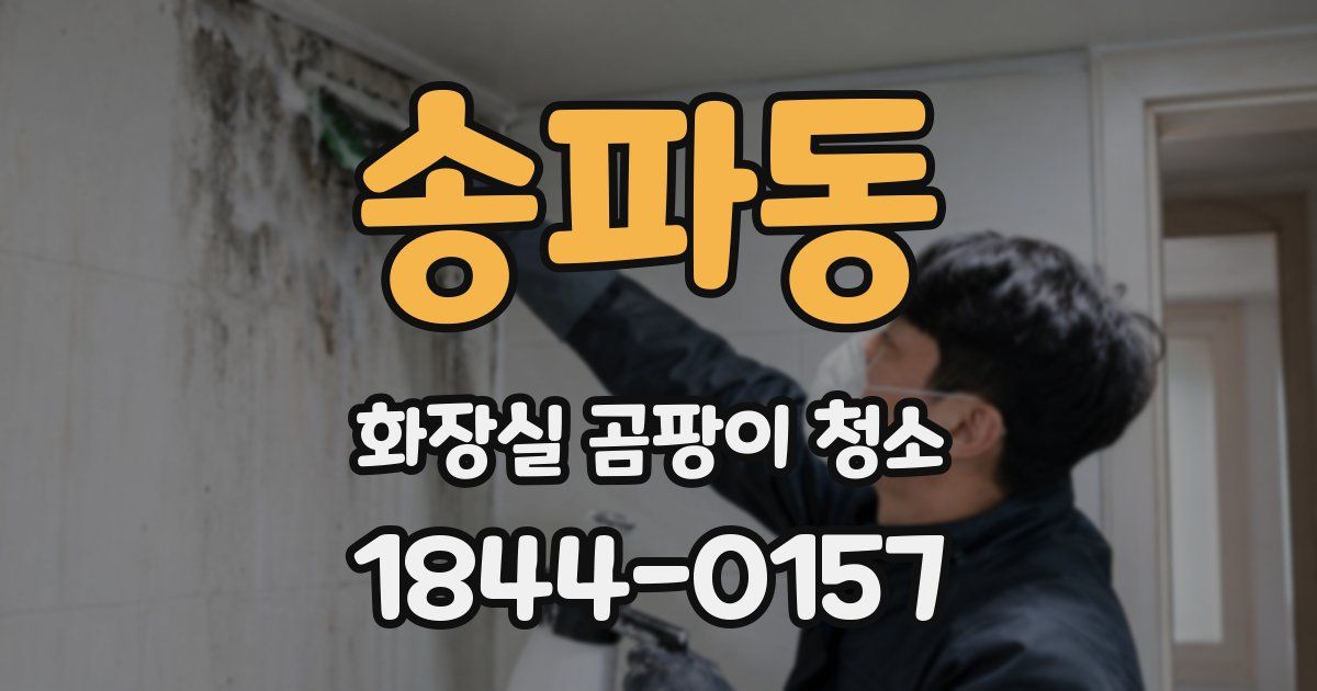 송파동 화장실 곰팡이 청소