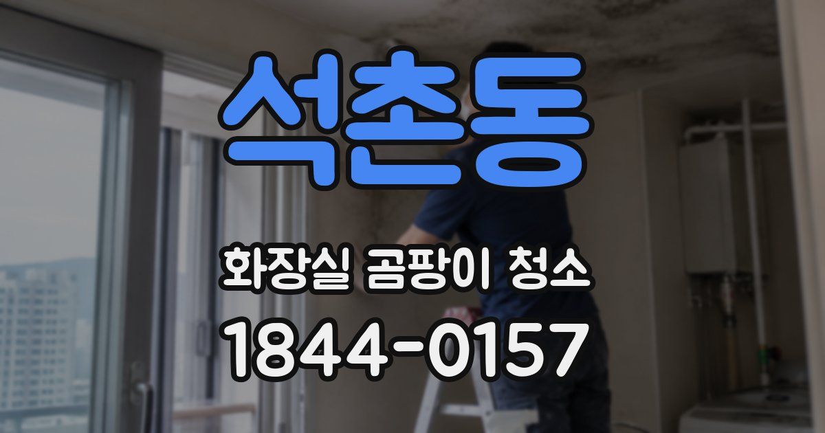 석촌동 화장실 곰팡이 청소